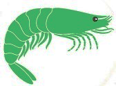 Prawns